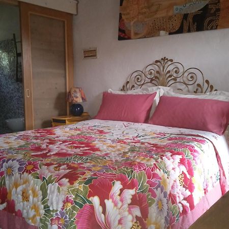 Poggio Del Sole Bed & Breakfast Bassano del Grappa Exterior photo